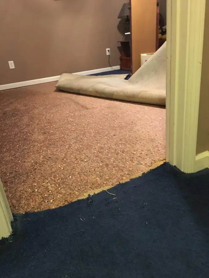 Carpet pad removal revealing water damage during Drying & Dehumidification in Damascus