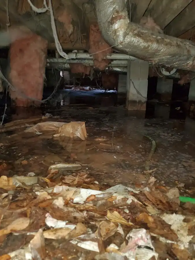 Crawl space flood assessment for Leak Detection & Repair in Damascus